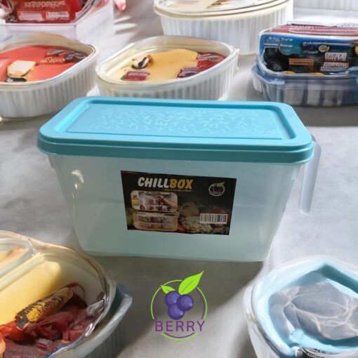 Chill Box Fridge Storage Chill Box With lid And Handle